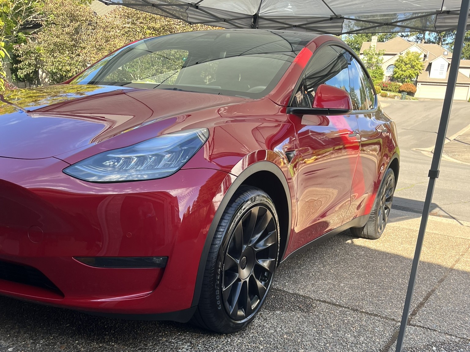 Paint Correction in Portland, OR