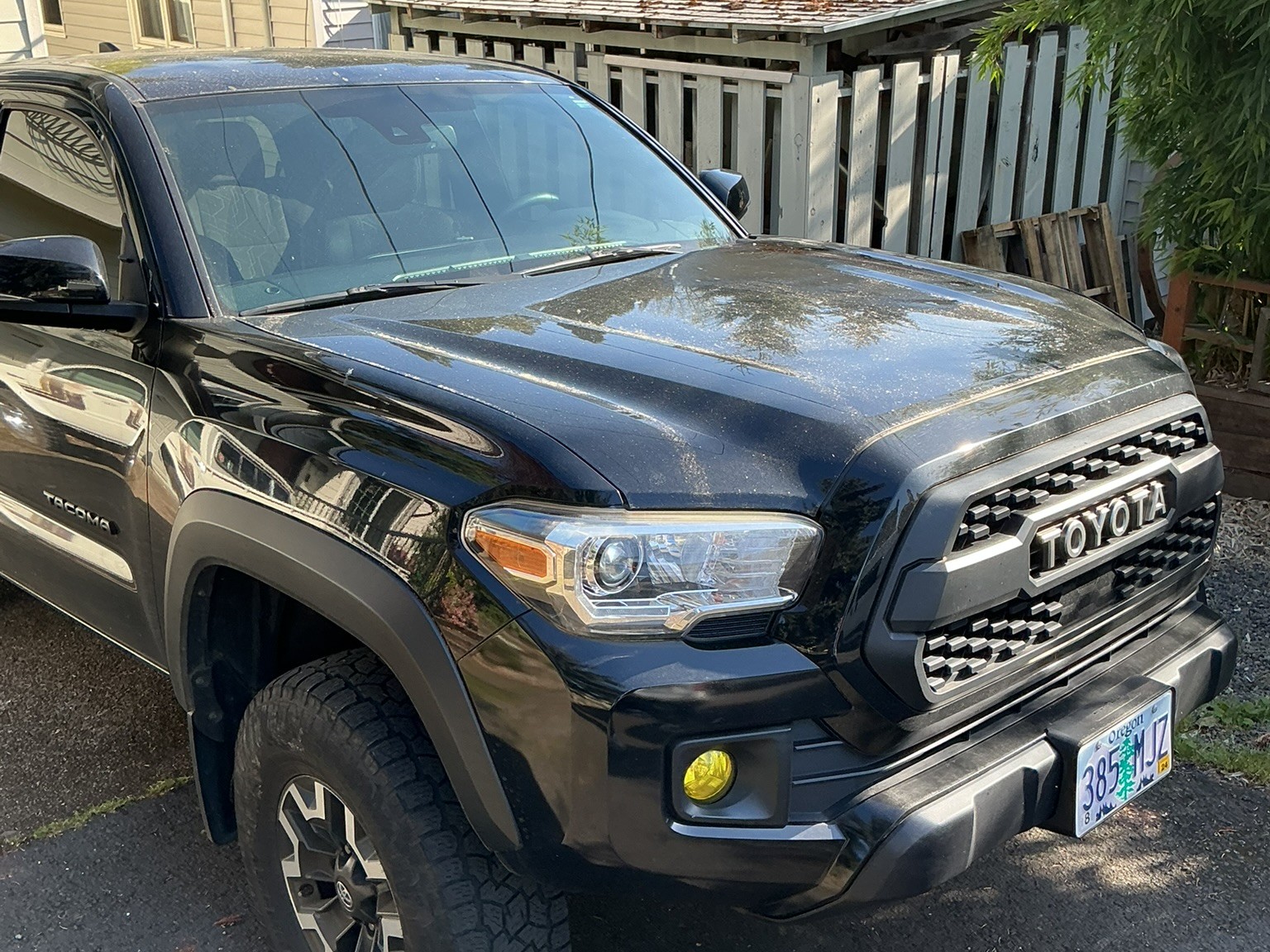 Paintless Dent Repair in Portland, OR