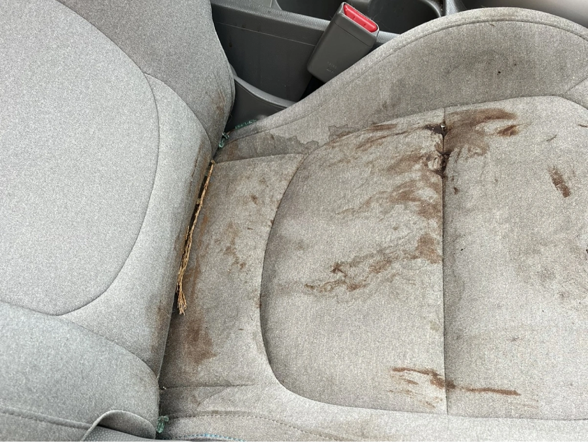 Vehicle Protection near Portland, OR
